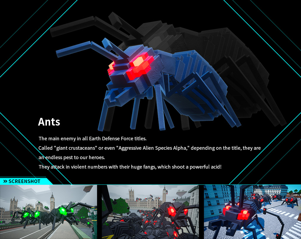 Ants