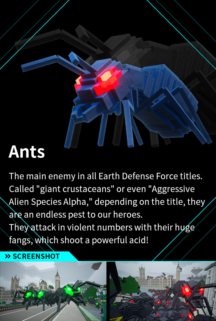 Ants