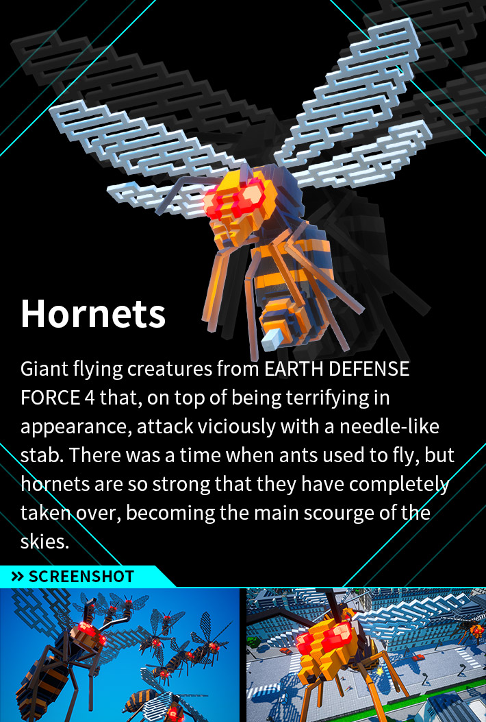 Hornets