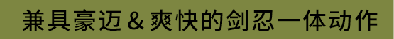 兼具豪迈＆爽快的剑忍一体动作