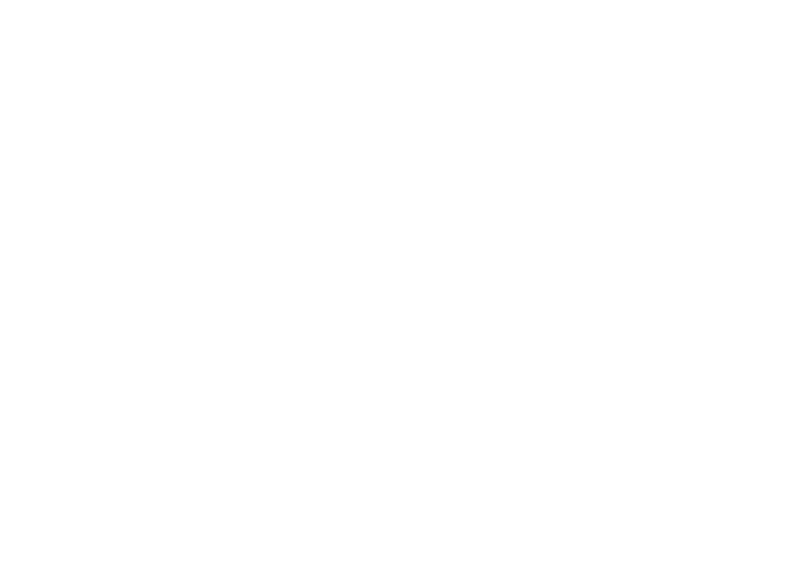 RENEGADE