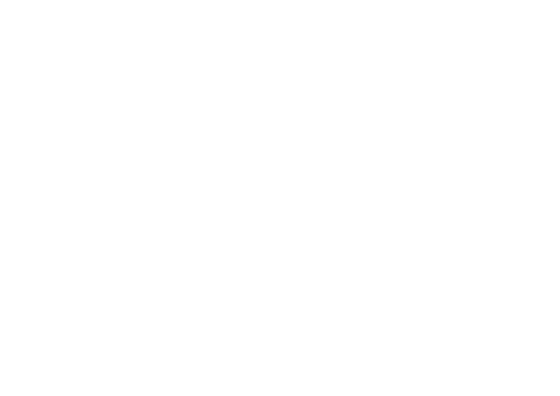 HAWK